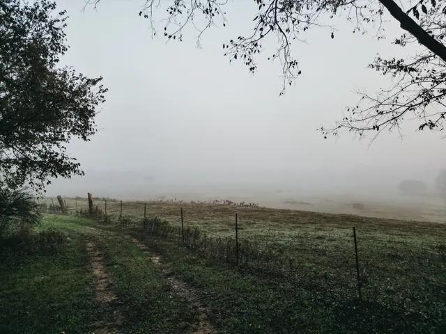 $1,595,000 | 3200 Williamsport Pike, Williamsport, TN 38487