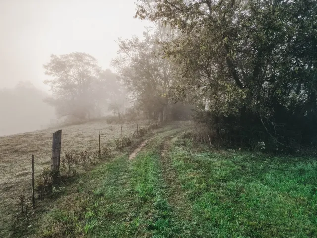 $1,595,000 | 3200 Williamsport Pike, Williamsport, TN 38487