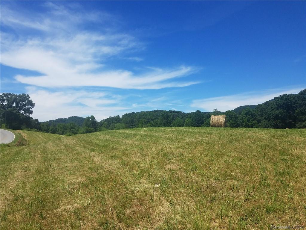 0 Shelton Cove Road, Unit N1 Clyde, NC 28721 - Photo 4 of 12