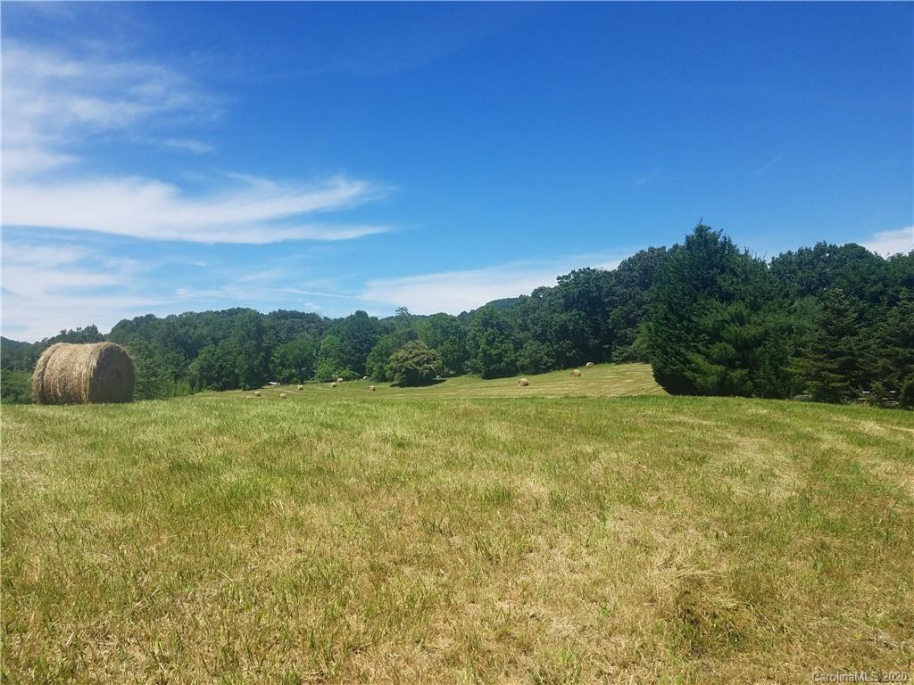 0 Shelton Cove Road, Unit N1 Clyde, NC 28721 - Photo 5 of 12
