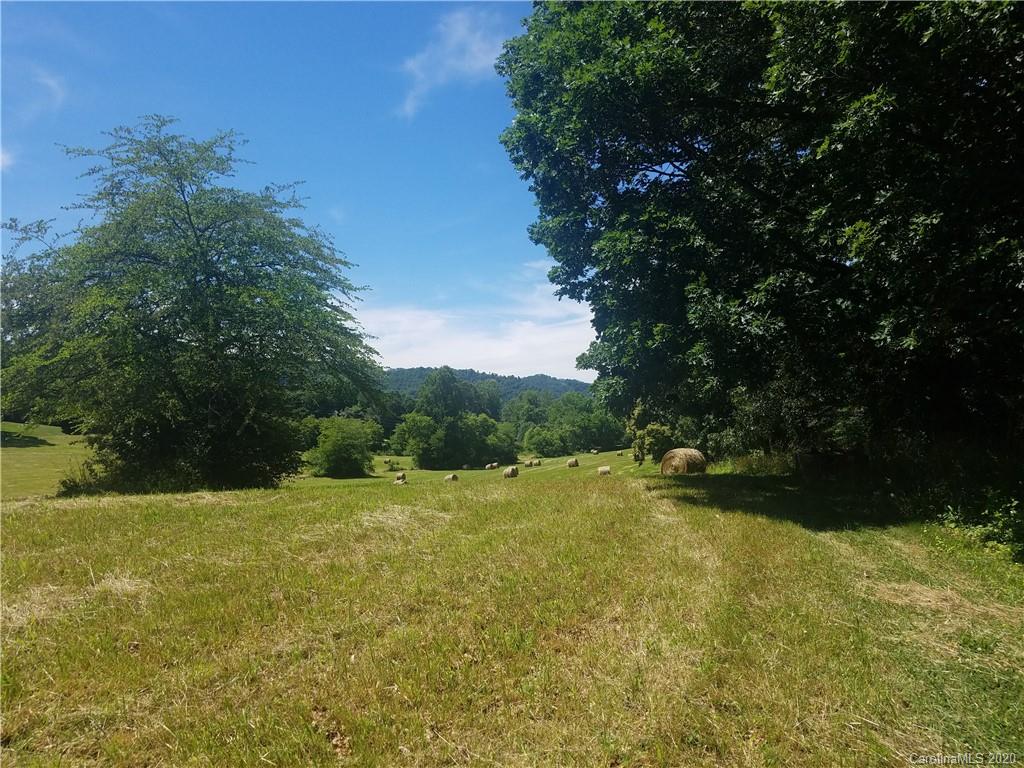 0 Shelton Cove Road, Unit N1 Clyde, NC 28721 - Photo 8 of 12