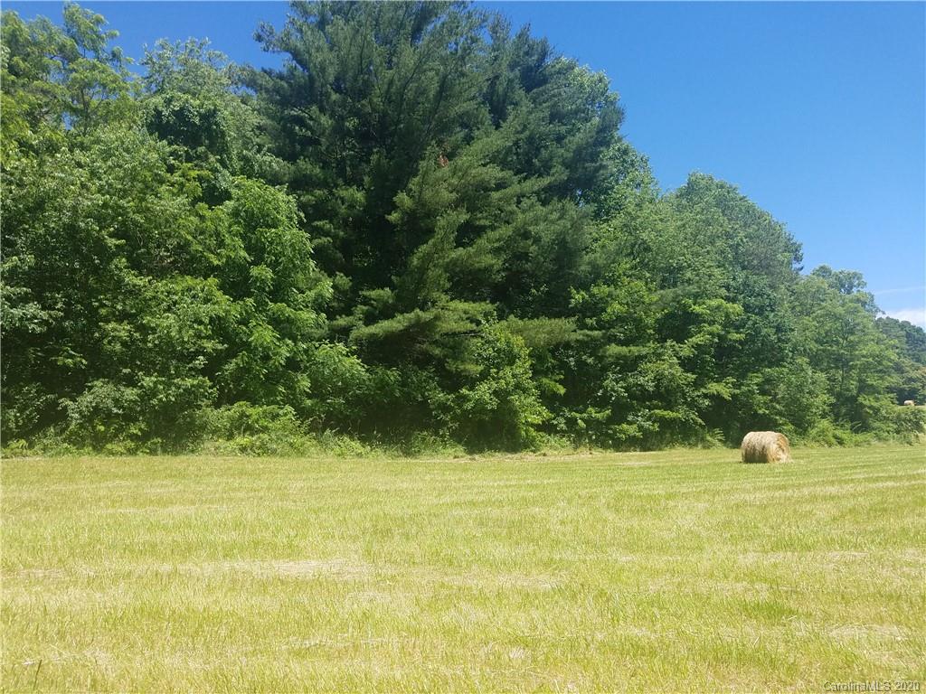 0 Shelton Cove Road, Unit N1 Clyde, NC 28721 - Photo 10 of 12