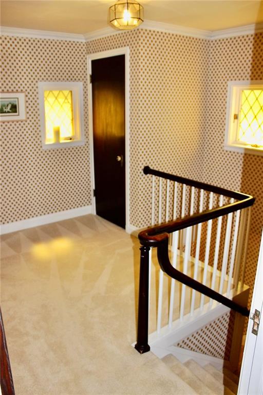 106 Ludwig Road New Castle, PA 16105 - Photo 20 of 23 Gallery Image 20