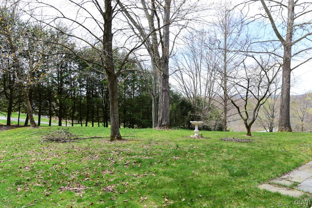 1177 Beaver Valley Road Stroudsburg, PA 18360 - Photo 9 of 46 a green field with lots of trees