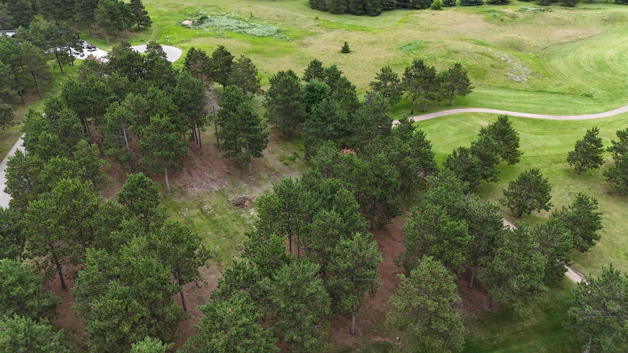 430 Thumper Lodge Road Ottertail, MN 56571 - Photo 8 of 12