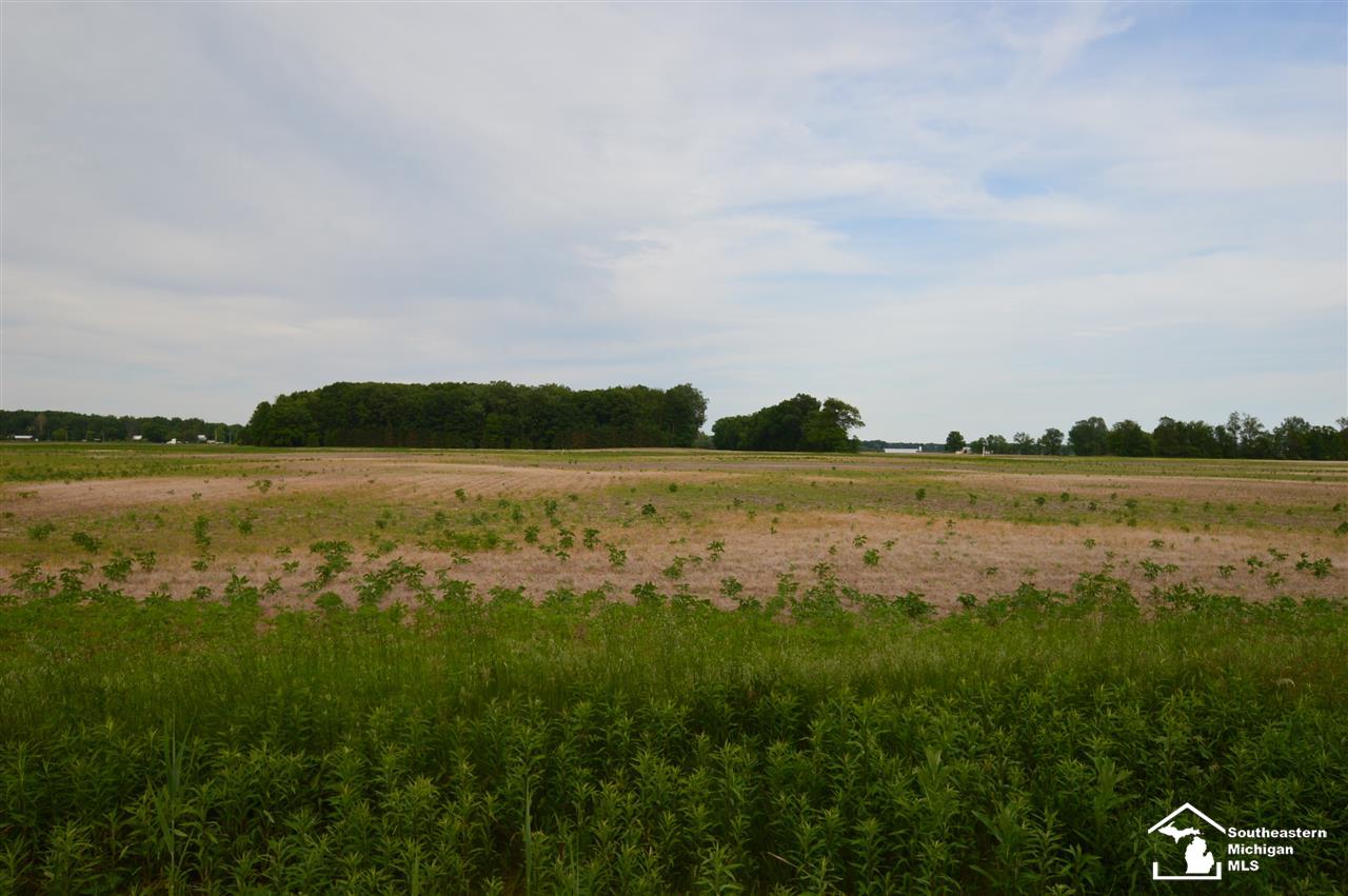 50 Yensch Road Dundee, MI 48131 - Photo 4 of 7