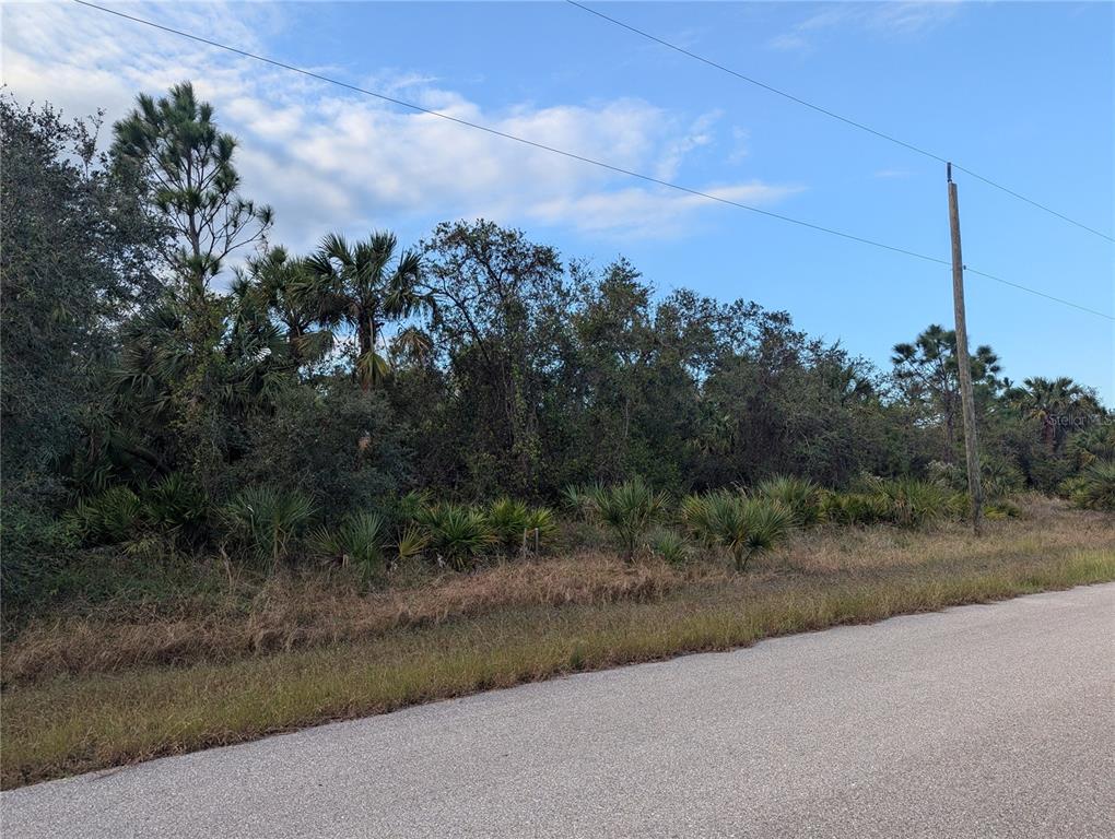 12 Mattox Circle North Port, FL 34288 - Photo 4 of 7 a view of a rural road with plants
