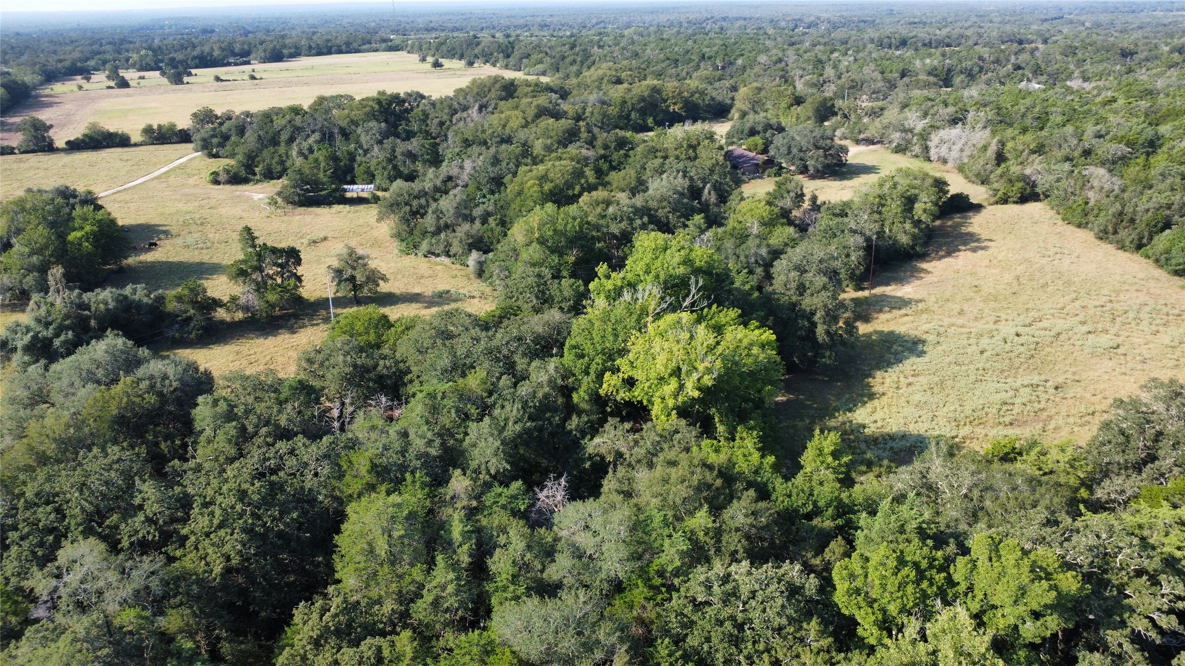 an aerial view of residential houses with outdoor space and trees