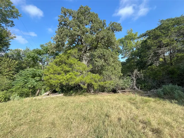 a view of a yard with a tree