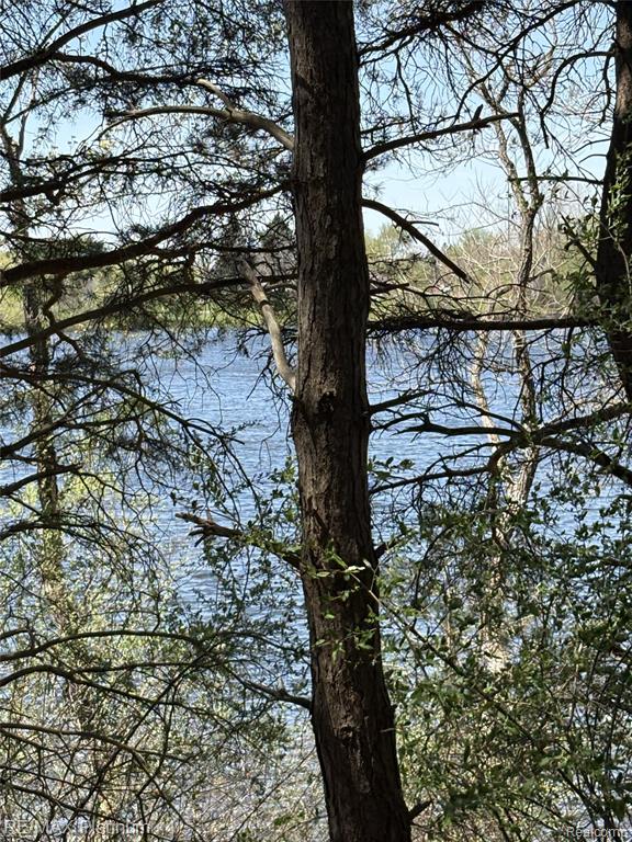 Parcel 3 Pineway Trail Howell, MI 48855 - Photo 11 of 15