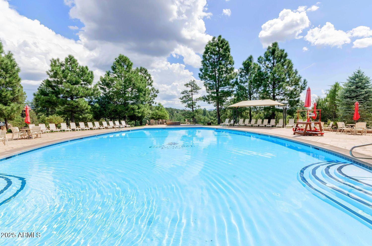 500 North Grapevine Drive Payson, AZ 85541 - Photo 54 of 55 a view of a swimming pool and outdoor space