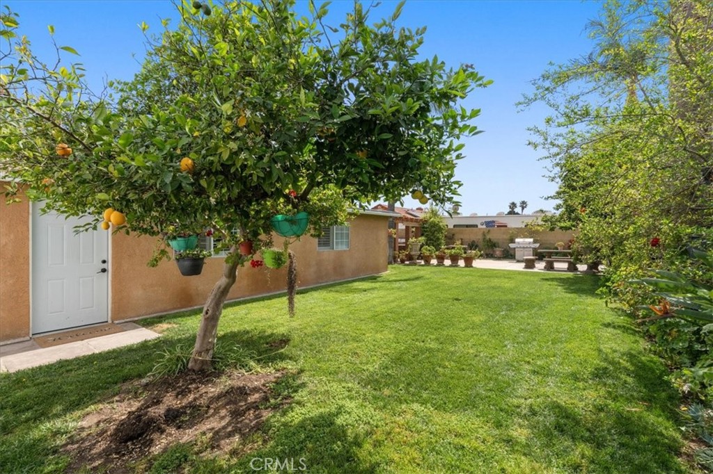 506 South Althea Avenue Rialto, CA 92376 - Photo 13 of 36 a view of a backyard