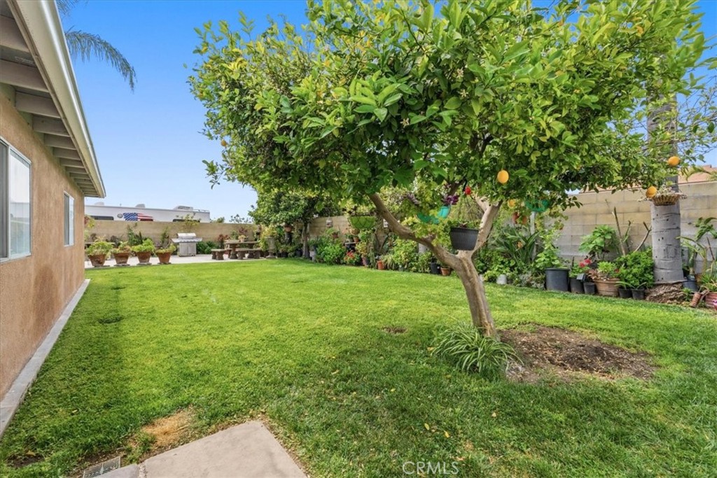 506 South Althea Avenue Rialto, CA 92376 - Photo 31 of 36 a view of yard with green space