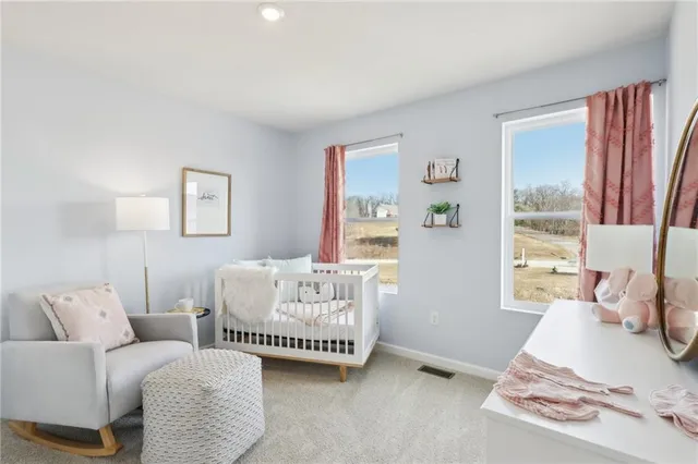 a bedroom with a bed and a couch