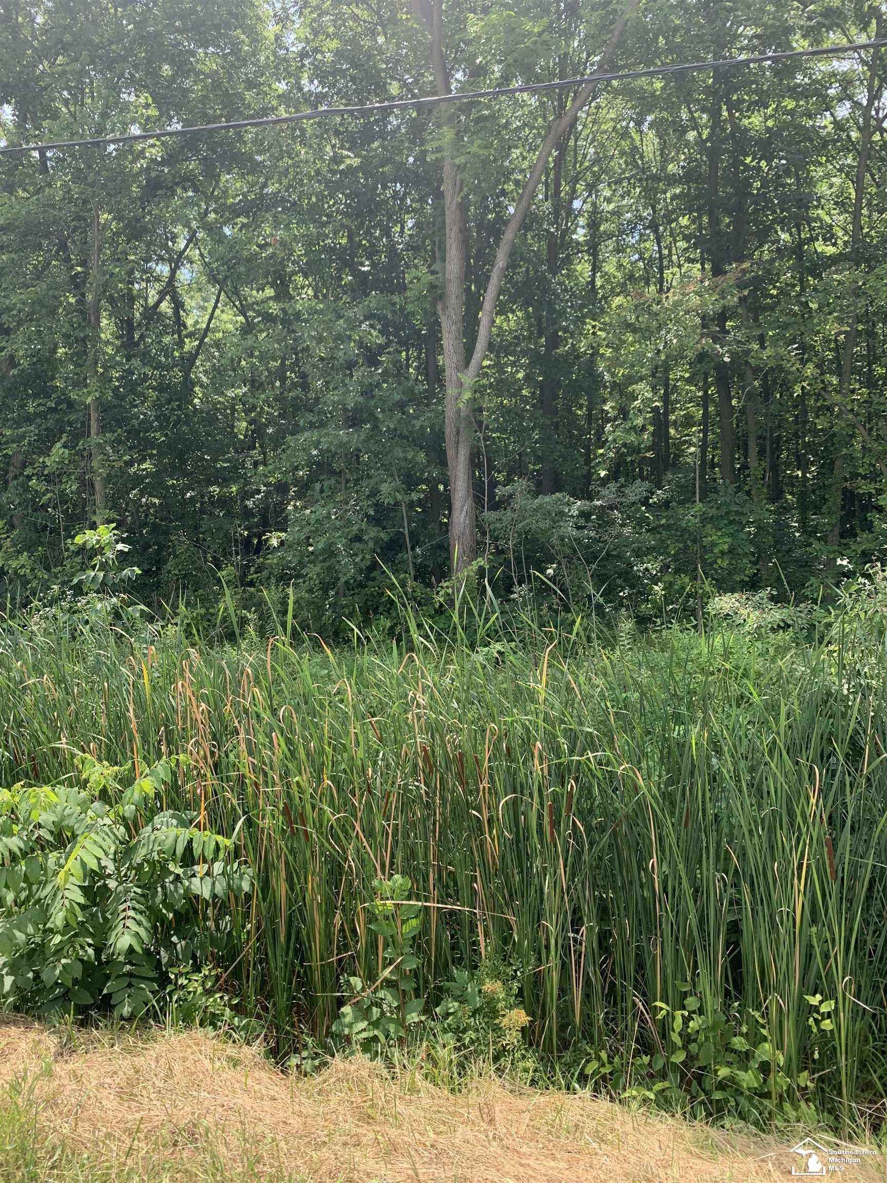 0 East Morocco Road Temperance, MI 48182 - Photo 1 of 2