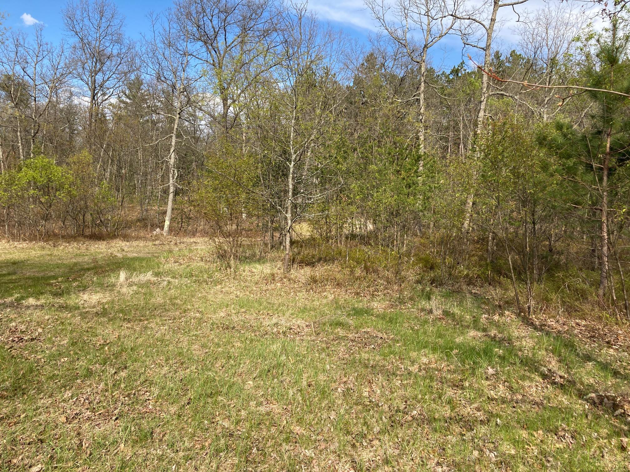 10573 North River Drive Ranch Road Irons, MI 49644 - Photo 19 of 22 IMG_2340