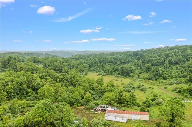 a view of a city with lush green forest