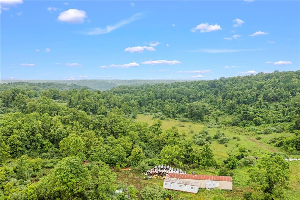 327 Eldersville Road Burgettstown, PA 15021 - Photo 4 of 10 a view of a city with lush green forest