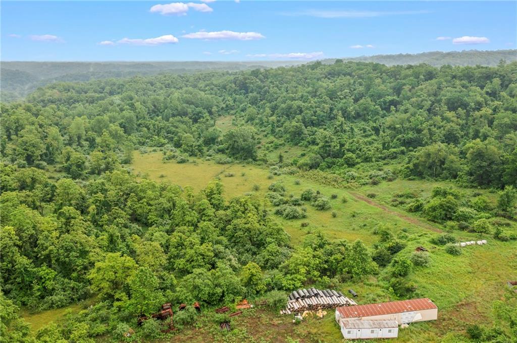 327 Eldersville Road Burgettstown, PA 15021 - Photo 6 of 10 a view of outdoor space and yard