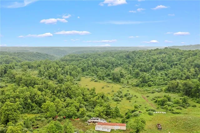a view of a big yard with lots of green space