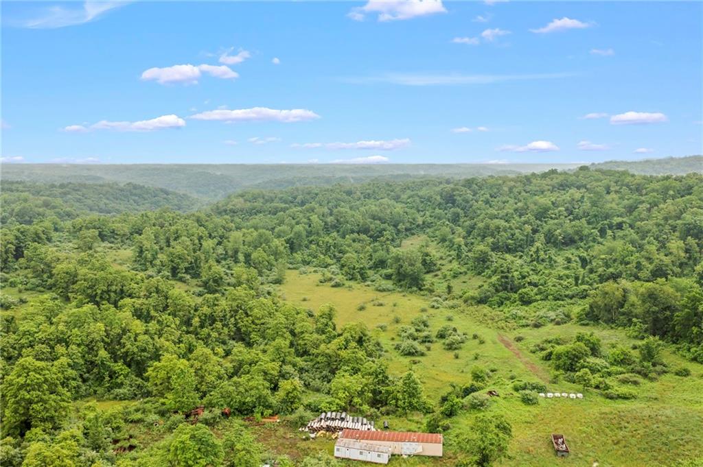 327 Eldersville Road Burgettstown, PA 15021 - Photo 8 of 10 a view of a big yard with lots of green space