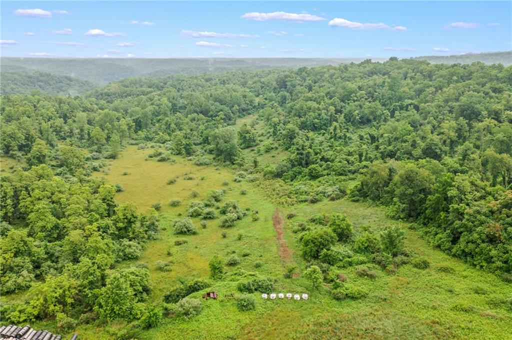 327 Eldersville Road Burgettstown, PA 15021 - Photo 9 of 10 a view of a field of grass and trees