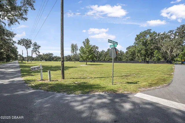 a view of a park with large trees