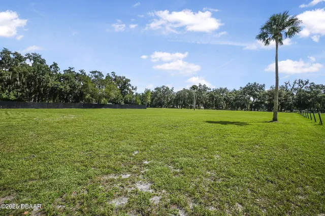 a view of a grassy field with trees in the background