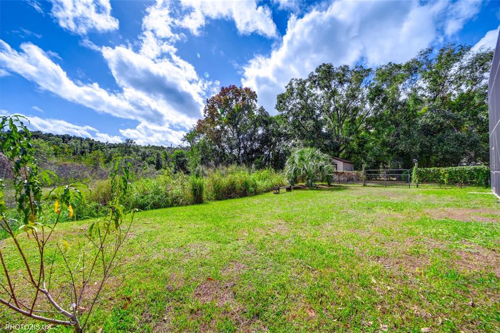 3304 Moran Road Tampa, FL 33618 - Photo 63 of 70