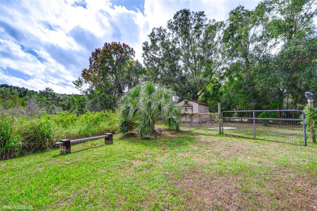 3304 Moran Road Tampa, FL 33618 - Photo 64 of 70