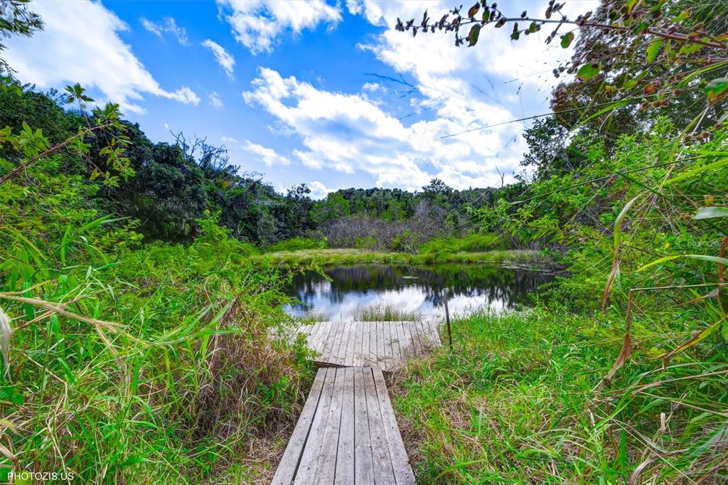 3304 Moran Road Tampa, FL 33618 - Photo 65 of 70