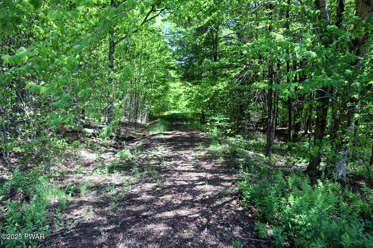 0 John Milk Road Hancock, NY 13783 - Photo 18 of 47