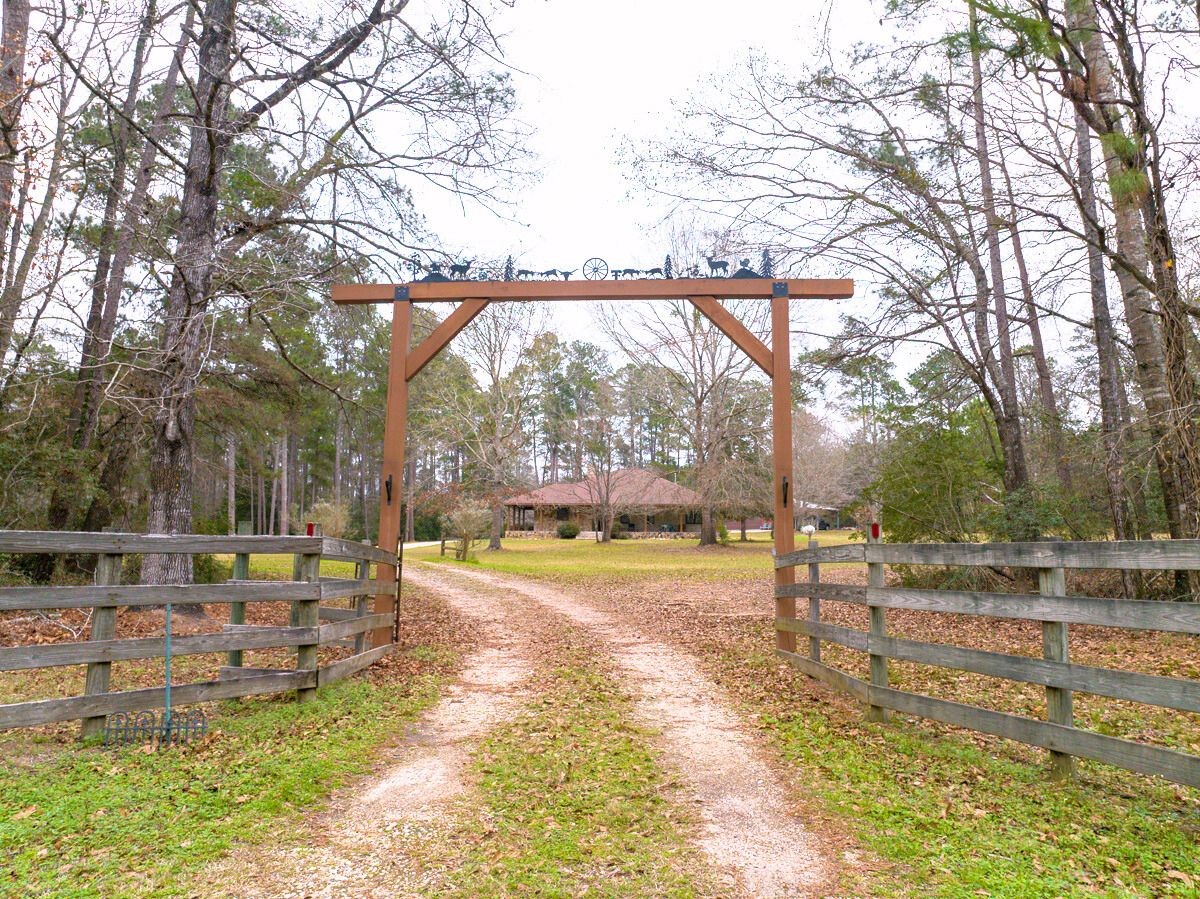 5259 Farm To Market 946 Coldspring, TX 77331 - Photo 2 of 39 a view of yard with tree