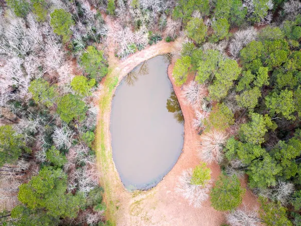 $775,000 | 5259 Farm To Market 946, Coldspring, TX 77331