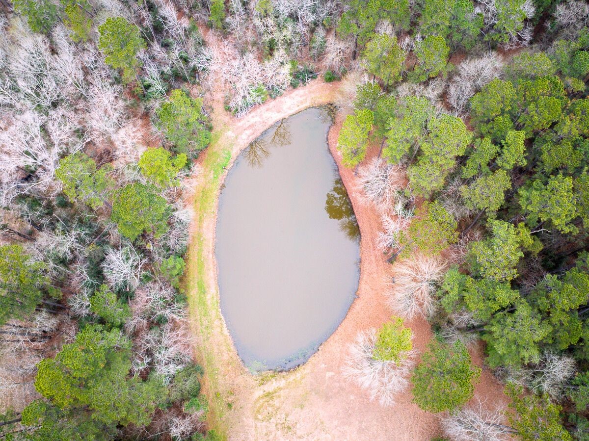 5259 Farm To Market 946 Coldspring, TX 77331 - Photo 27 of 39 a view of a wooden house with a yard and sitting area