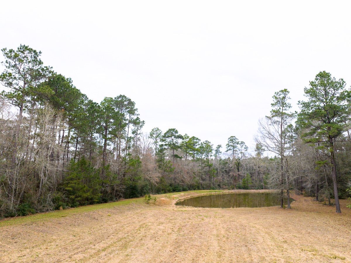5259 Farm To Market 946 Coldspring, TX 77331 - Photo 28 of 39 a view of outdoor space with swimming pool