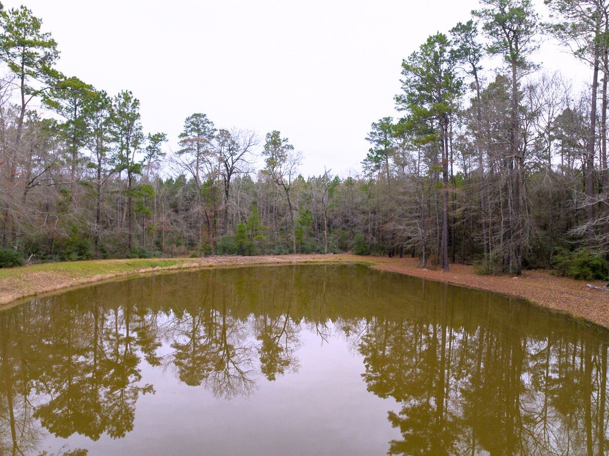 5259 Farm To Market 946 Coldspring, TX 77331 - Photo 29 of 39 a view of a lake with a mountain view