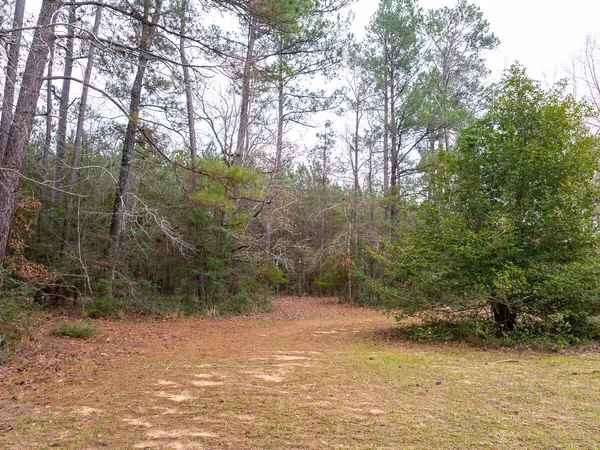 $775,000 | 5259 Farm To Market 946, Coldspring, TX 77331