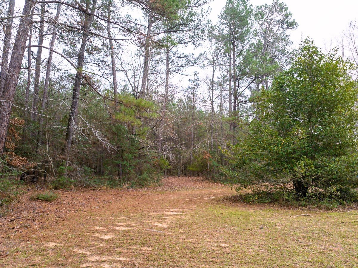 5259 Farm To Market 946 Coldspring, TX 77331 - Photo 32 of 39 a view of a lake view