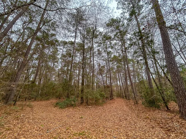 $775,000 | 5259 Farm To Market 946, Coldspring, TX 77331