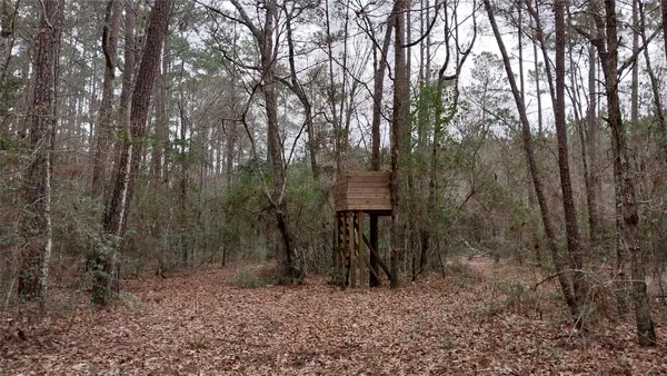 $775,000 | 5259 Farm To Market 946, Coldspring, TX 77331