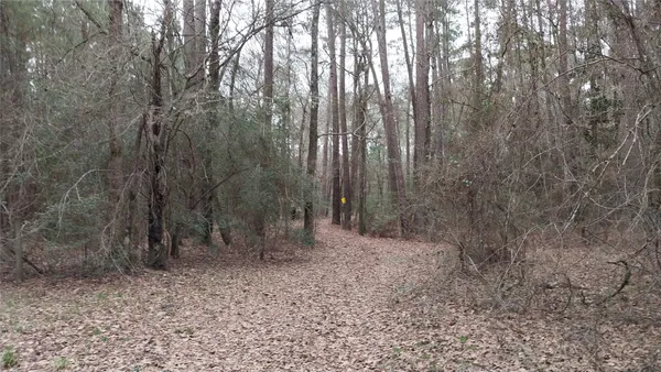 $775,000 | 5259 Farm To Market 946, Coldspring, TX 77331