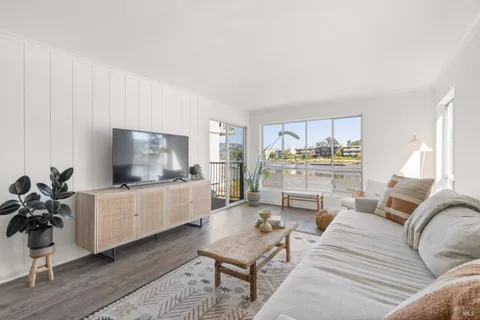 a living room with furniture and a potted plant