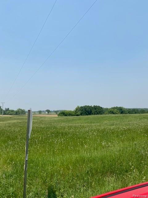 7451 Fostoria Road Mayville, MI 48744 - Photo 27 of 41