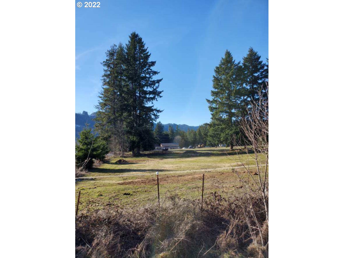 Mathany Road Carson, WA 98610 - Photo 2 of 3 Gallery Image 2