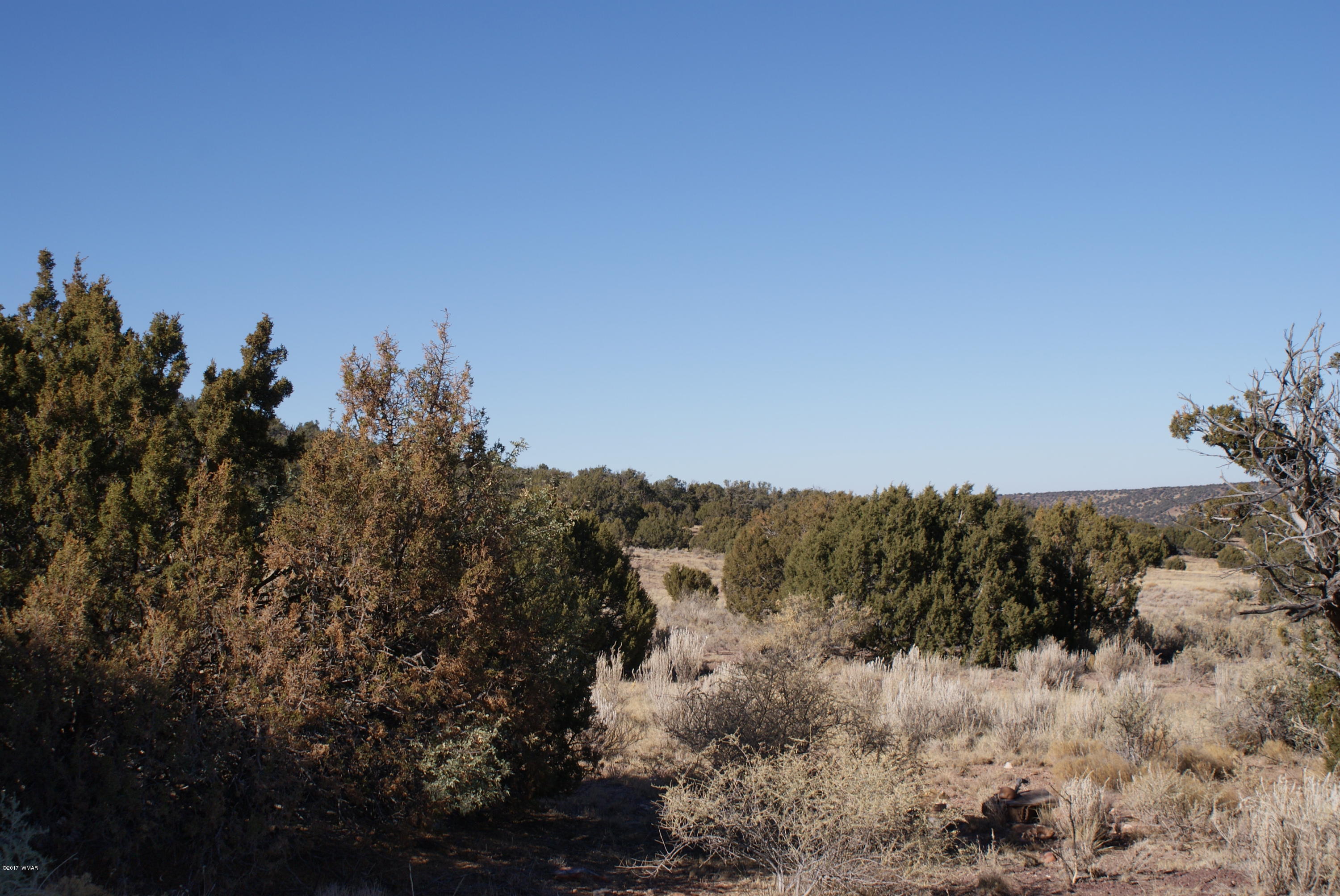 9996 East Meadow Ridge Lane Snowflake, AZ 85937 - Photo 23 of 45