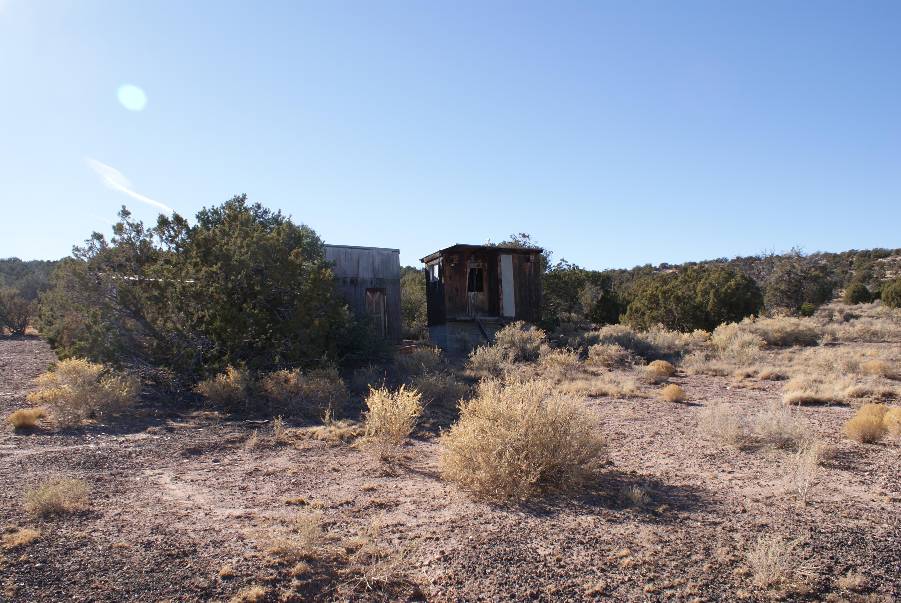 9996 East Meadow Ridge Lane Snowflake, AZ 85937 - Photo 43 of 45