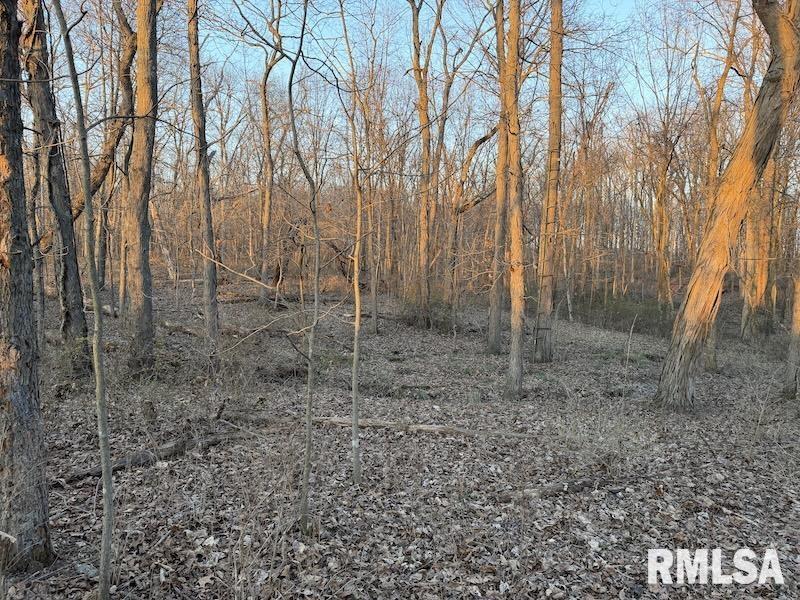 East 200th Road Casey, IL 62420 - Photo 21 of 37