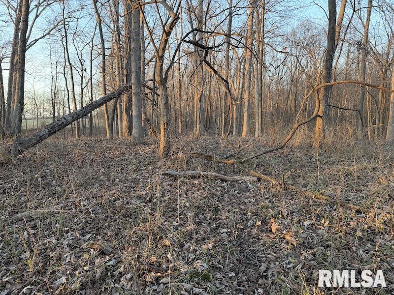 East 200th Road Casey, IL 62420 - Photo 25 of 37