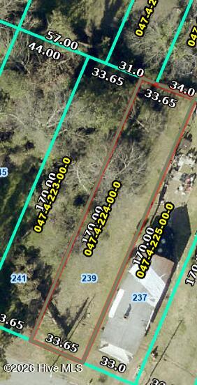 239 Walker Street Augusta, GA 30901 - Photo 4 of 4 239 walker st birds eye